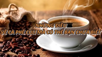 Cà Phê Culi Là Gì? Những Điều Mà Có Thể Bạn Chưa Biết