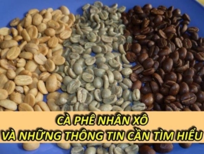 Cà Phê Nhân Xô Và Những Thông Tin Cần Tìm Hiểu