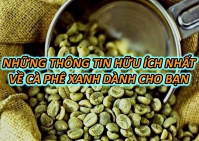 Những Thông Tin Hữu Ích Nhất Về Cà Phê Xanh Dành Cho Bạn