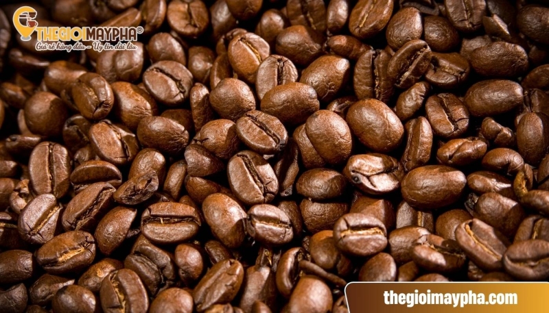 Nguyên tác Miscela – Trộn Espresso