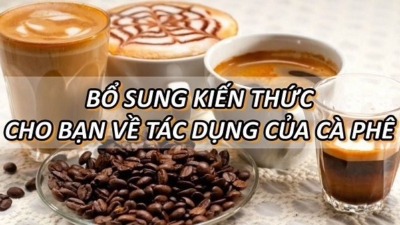 Bổ Sung Kiến Thức Cho Bạn Về Tác Dụng Của Cà Phê