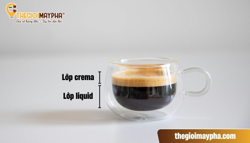 Thành phần chính trong Espresso là gì?