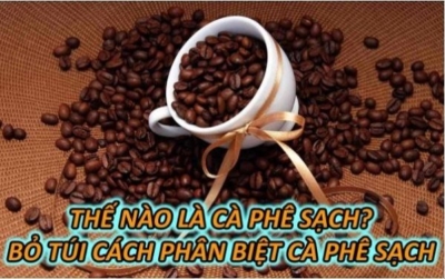 Cà phê sạch là gì? Cách phân biệt cà phê sạch