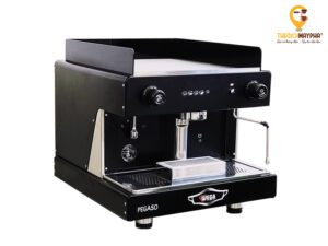 Combo máy pha cà phê Wega Pegaso A1 Group + Máy xay cà phê Fiorenzato F64E version 2