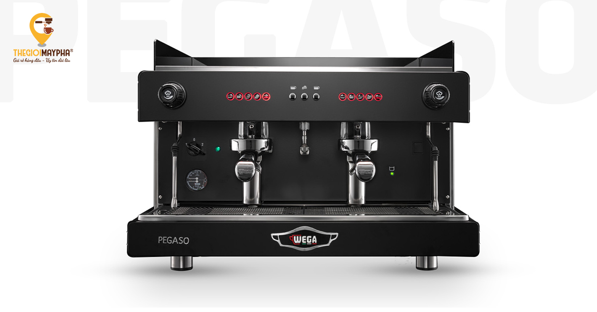 Máy Pha Cà Phê Wega Pegaso 2 Group