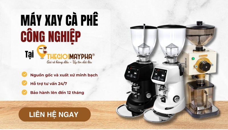 Mua máy xay cà phê công nghiệp chính hãng
