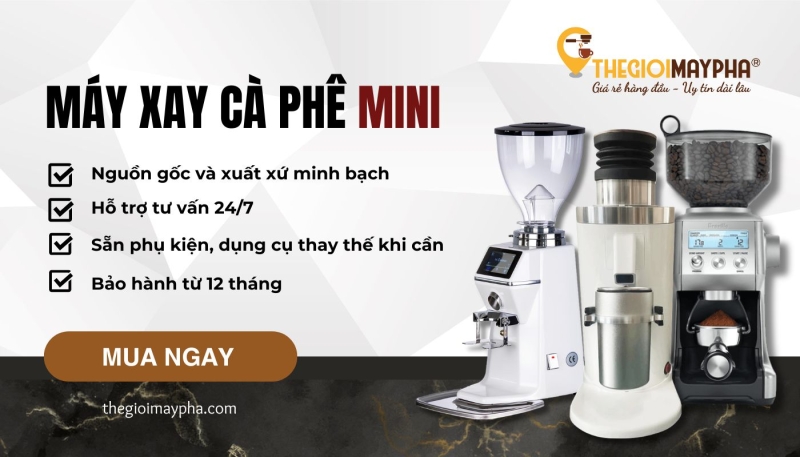 Mua máy xay cafe mini giá rẻ tại Thế Giới Máy Pha