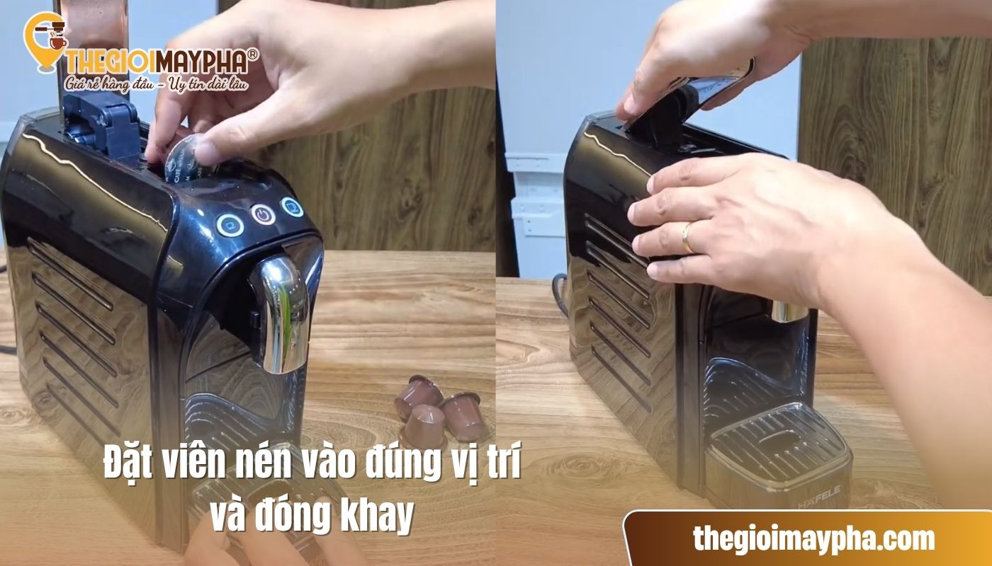 Đặt viên nén vào máy pha