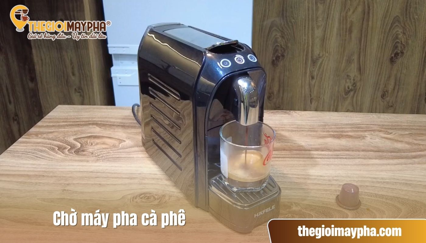 Hoàn thành cách pha cà phê viên nén