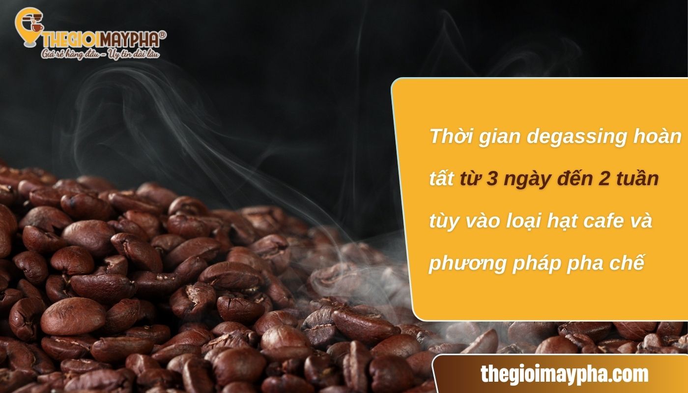 Từ 3 ngày đến 2 tuần là khoảng thời gian lý tưởng cho quá trình khử khí cà phê