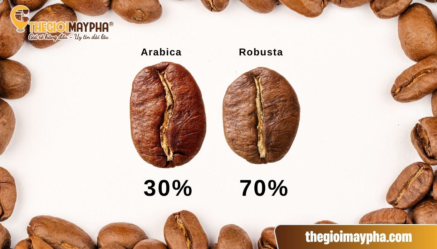 Cách trộn cafe thơm ngon theo tỷ lệ 30% Arabica + 70% Robusta