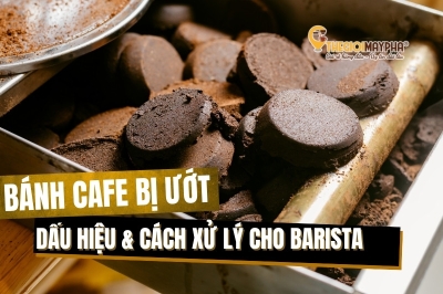 Hướng dẫn chi tiết xử lý bã cà phê bị ướt cho barista mới