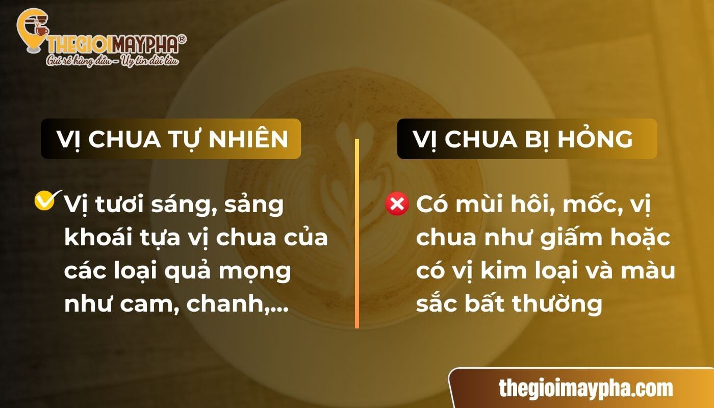 Cà phê có vị chua có phải bị hỏng không?