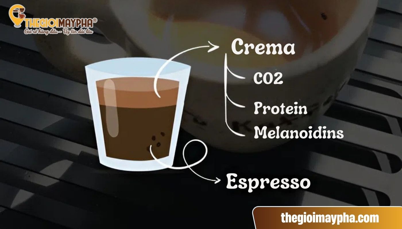 Cơ chế hình thành crema là gì?