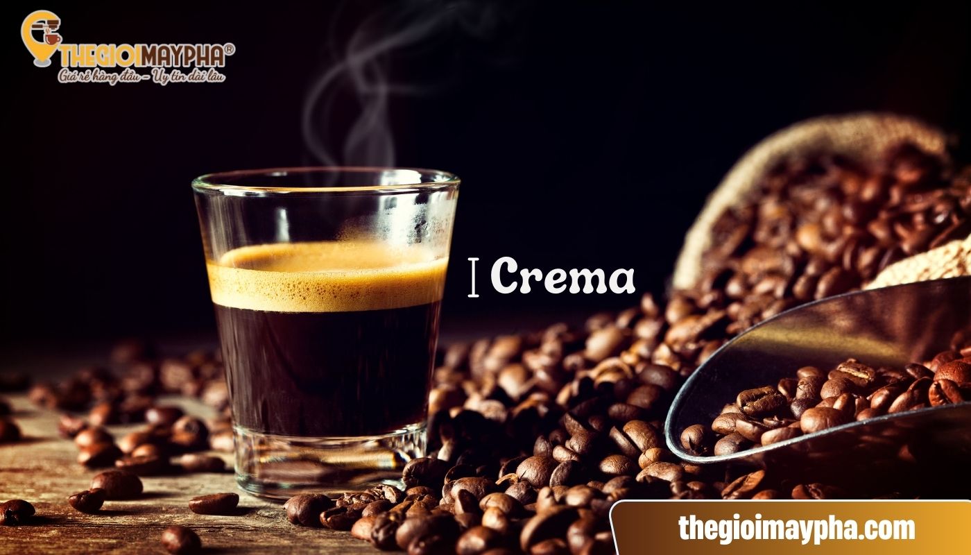 Lớp crema cà phê là gì?