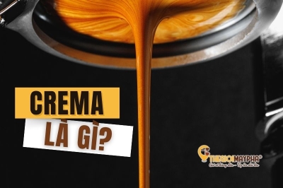 Lớp crema là gì? Tại sao barista lại chú trọng đến crema?