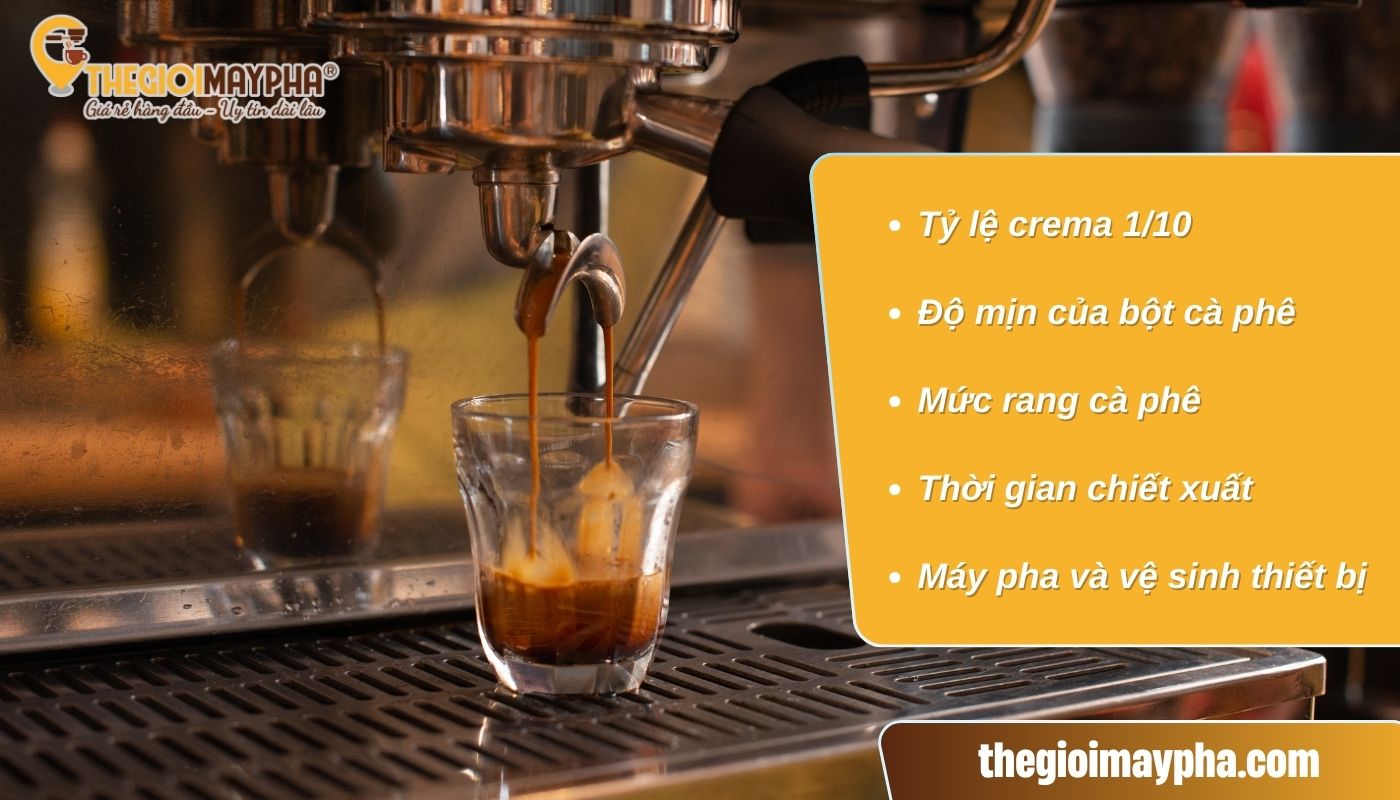 Các yếu tố quyết định lớp crema là gì?
