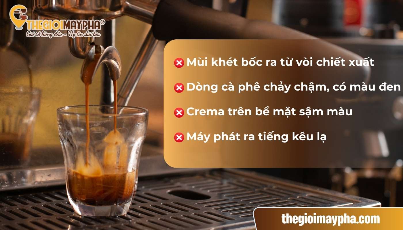 Dấu hiệu nhận biết cafe pha máy bị cháy khét