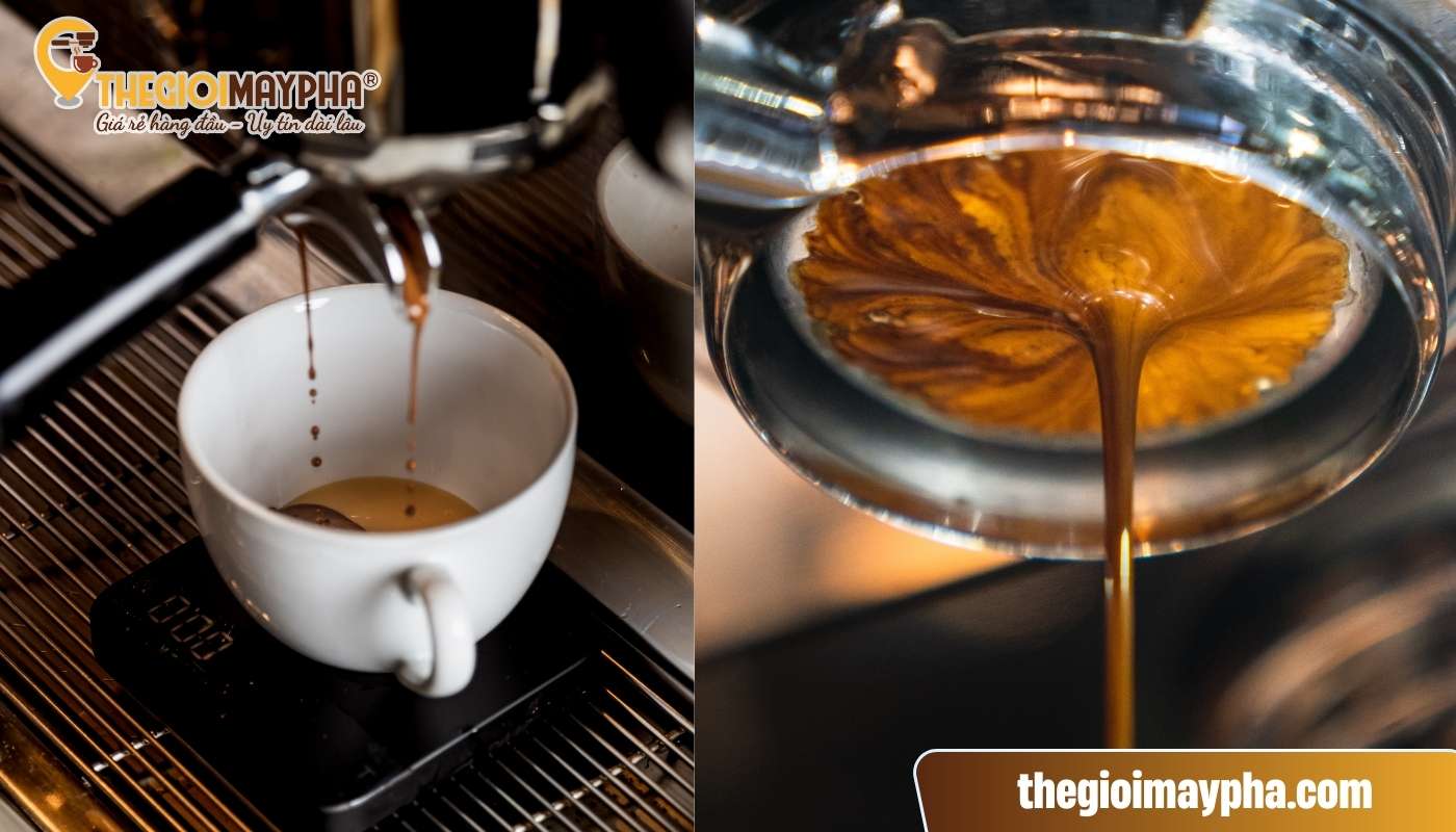 Quan sát dòng chảy cafe để xem cafe có bị cháy khét hay không