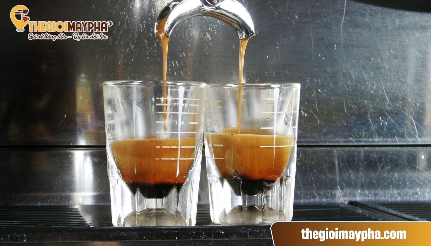 Shot test để kiểm tra độ chuẩn của lớp crema, mùi hương và dòng chảy cafe