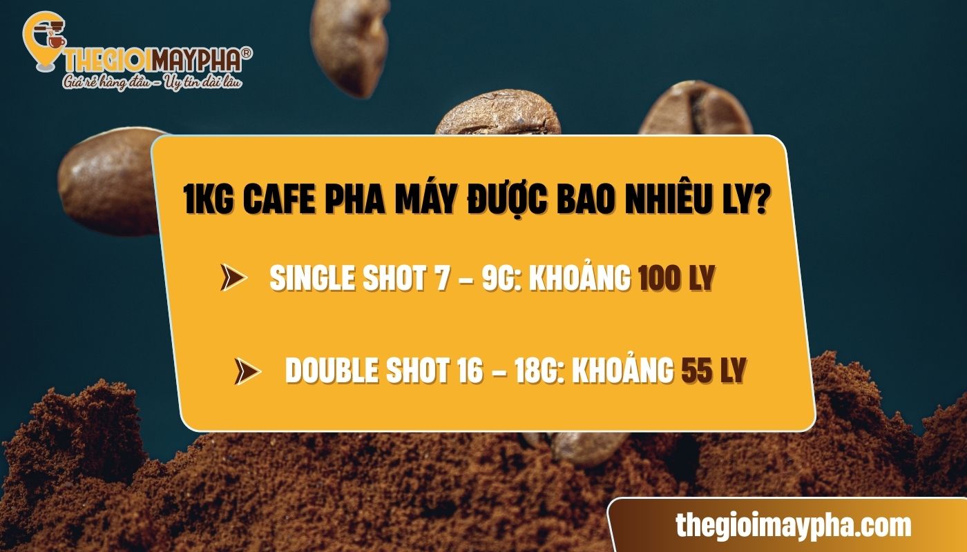 1 kg cafe pha máy được bao nhiêu ly?
