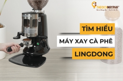 Máy xay cà phê LINGDONG – Lựa chọn phổ biến cho gia đình