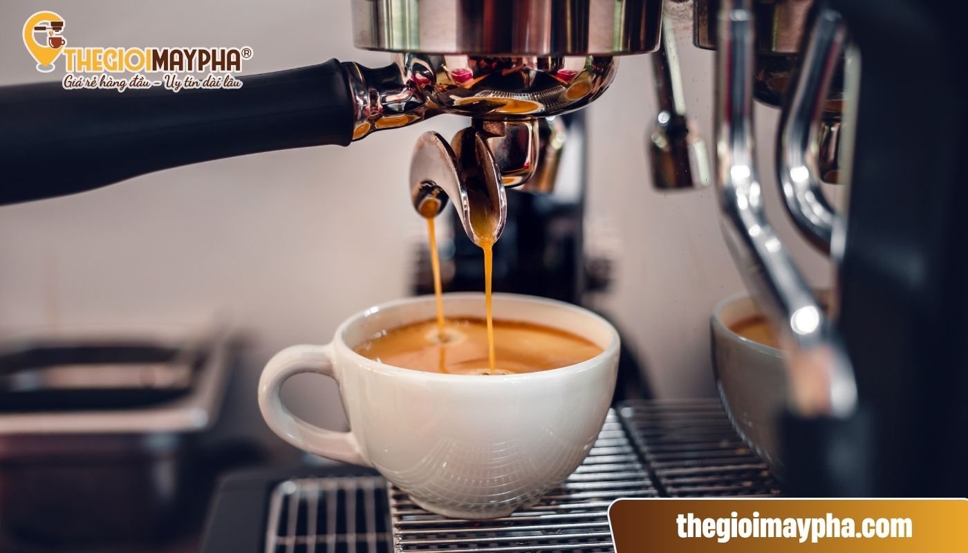 Sử dụng máy pha cà phê sai cách cũng là nguyên nhân máy pha rò điện