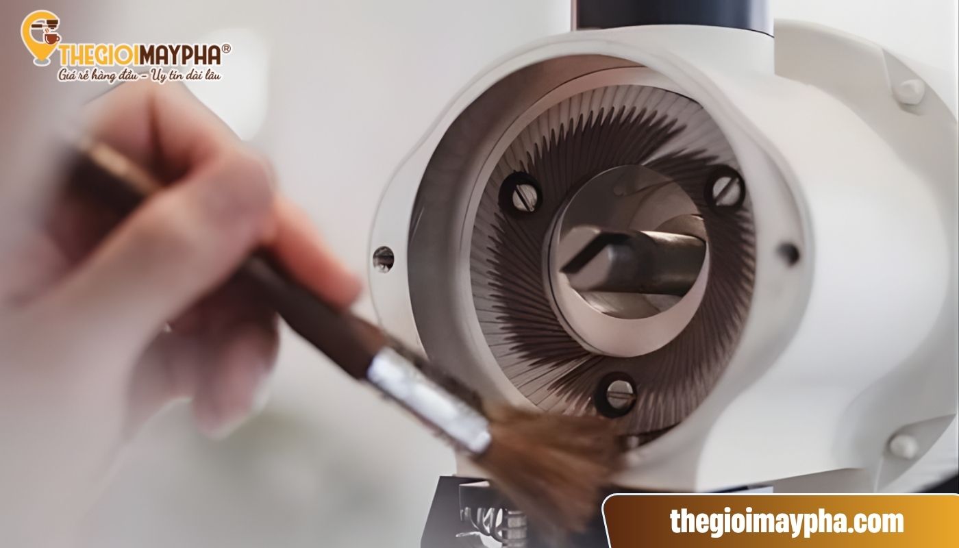 Máy xay cà phê bị kẹt do không được vệ sinh định kỳ