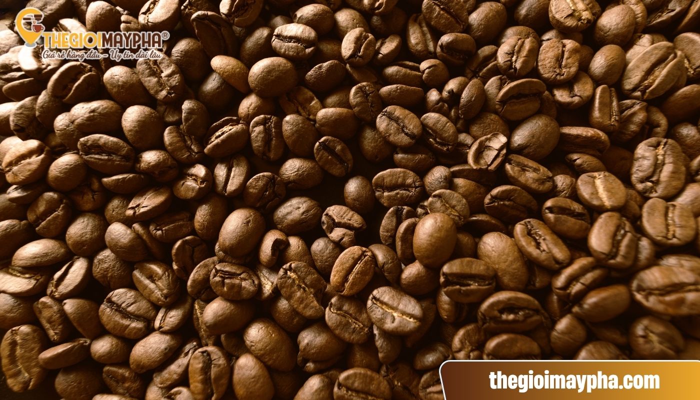 Sử dụng hạt cafe phê khô hơn hoặc rang nhạt