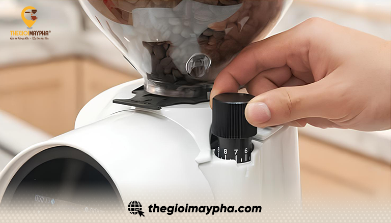Máy pha cafe Firenze 75: Ưu nhược điểm, ai nên mua và cách tối ưu khi vận hành quán 1 máy xay cà phê Firenze 75