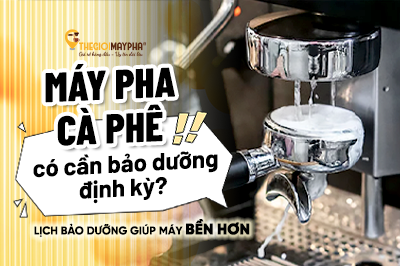 Máy pha cà phê có cần bảo dưỡng định kỳ? Lịch bảo dưỡng giúp máy bền hơn