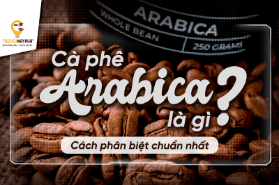 Cà phê Arabica là gì? Đặc điểm, hương vị và cách phân biệt chuẩn nhất