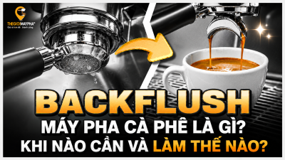 Backflush máy pha cà phê là gì? Khi nào cần thực hiện và làm như thế nào?