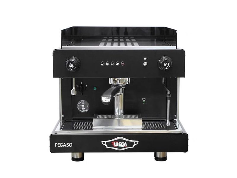 Wega Pegaso 1 Group Và 2 Group: Quán Nào Nên Chọn?