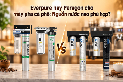 Everpure hay Paragon cho máy pha cà phê: Nguồn nước nào phù hợp?