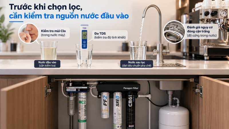 Everpure hay Paragon cho máy pha cà phê: Nguồn nước nào phù hợp? 2 Everpure Hay Paragon Cho Máy Pha Cà Phê? Chọn Theo Nguồn Nước