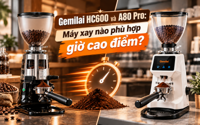 Gemilai HC600 và A80 Pro: Máy xay nào phù hợp giờ cao điểm?