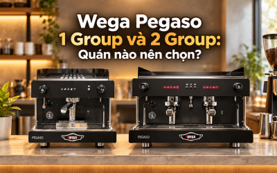 Wega Pegaso 1 Group và 2 Group: Quán nào nên chọn?