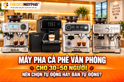 Máy pha cà phê văn phòng cho 30–50 người: Nên chọn tự động hay bán tự động?